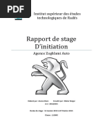 Rapport de Stage Asma Ghars l1gm5