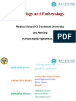 Histology 5 Blood