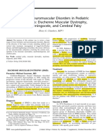 Atualização Neuromuscular