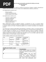 Manejo de Las Patologias de La Esquina Posteromedial y Lateral de Rodilla Por Artros