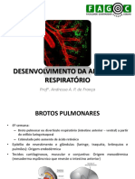 Aula - Desenv. Do Aparelho Respiratório