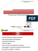 Processos e Métodos de Protecção Fitossanitária