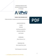 Anamnesis Psicoeducativa Modelo de Anamnesis