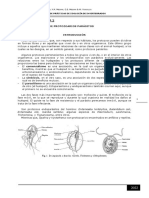 ZI - P2 - PROTOZOARIOS Parasitos