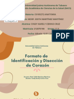 Formato de Identificación y Disección Del Corazón