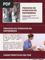 Proceso de Atencion de Enfermeria