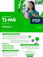 Modulo 3 TJMG Pos Edital