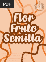 Flor Fruto Semilla