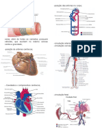 Caderno Resumo, Cardio Fisioterapia