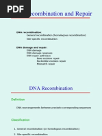 DNA Repair