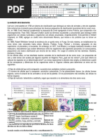 Clasificacion de Seres Vviso