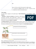 Fisiologia Vegetal 2023