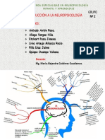 Organizador Visual LA NEUROPSICOLOGÍA