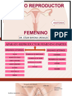 Aparato Reproductor Femenino