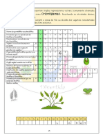 Cruzadinha - Plantas