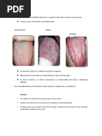 Lesiones Elementales