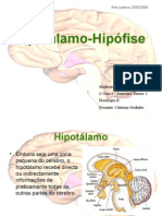 Hipo-Hip+ Fise Alterado