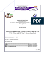 Etude de Reconstruction de L'ouvrage D'art Sur Oued ISLY Au PK 23+500 de La RN17 Situé À 2km de Guenfouda