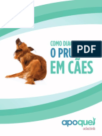 Como Diagnosticar o Prurido em Caes