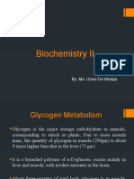 Glycogen Metabolism