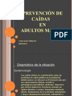 Prevencion Caidas