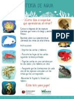 Loteria de Agua Tableros