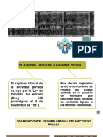 Decreto Legislativo 728 Exposicion