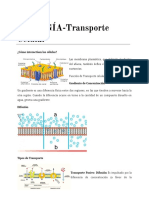 Transporte Celular - Apuntes