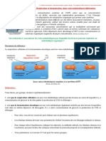 322.TP1 Respiration Et Fermentation Deux Voies Métaboliques Différentes