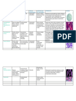 Micro Biolog I A