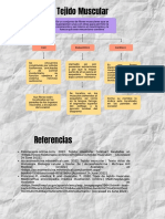 Mapa Conceptual Tejidos