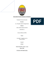 Sánchez Carlos U1T1a1