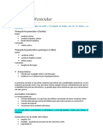 Patología Vesicular