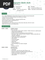 Mobile Developer NguyenDinhAnh CV