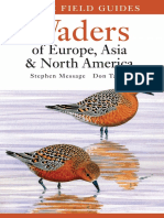 Waders of Europe Asia and North America