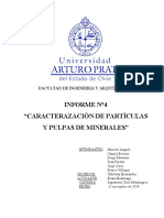 Caracterazacion de Particulas y Pulpas D