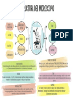 Microscopio Óptico