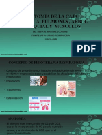 1 Anatomia de La Caja Torácica, Pulmones