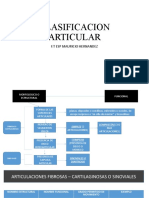 Clasificación Articular