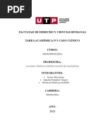 Tarea Académica N°1 Caso Clínico - Grupo5 - Neuropsicología