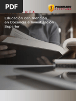 BR Maes Docencia Investigación en Educación Superior