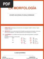 Diapositiva de Morfologia