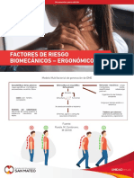 Factores D Eriesgo Biomecanico