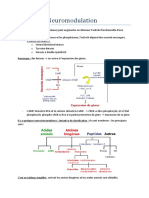 Neurotransmission Chimique (21.02)