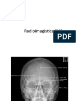 Radioimagistica SNC LP Stud 2020