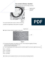 B1 1 Key Concepts in Biology Qs
