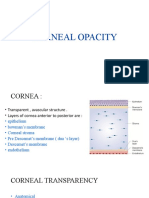 Corneal Opacity 2