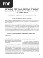 PDF Documento