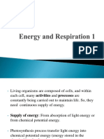 Energy and Respiration-1