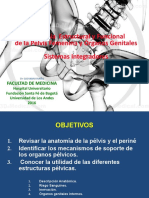 1.anatomiìa Estructural de La Pelvis Femenina Sistemas Integradores-2